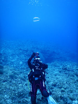 カラカラ先生のダイビングスクール　宮古島