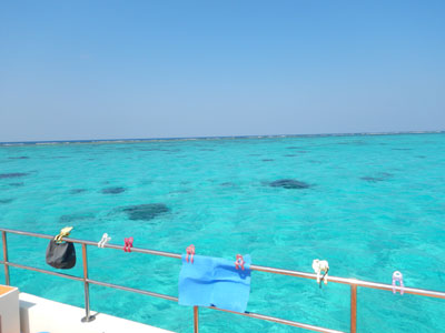 カラカラ先生のダイビングスクール　宮古島