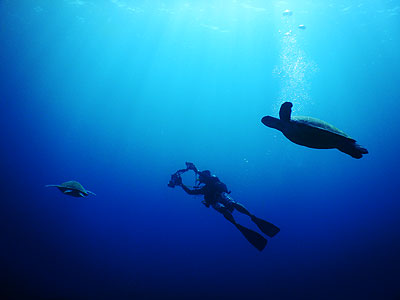 カラカラ先生のダイビングスクール　宮古島