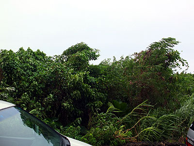 台風１６号　宮古島