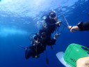 カラカラ先生のダイビングスクール　宮古島　シミランツアー