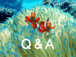 Ｑ＆Ａ