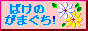 ����(^^;)