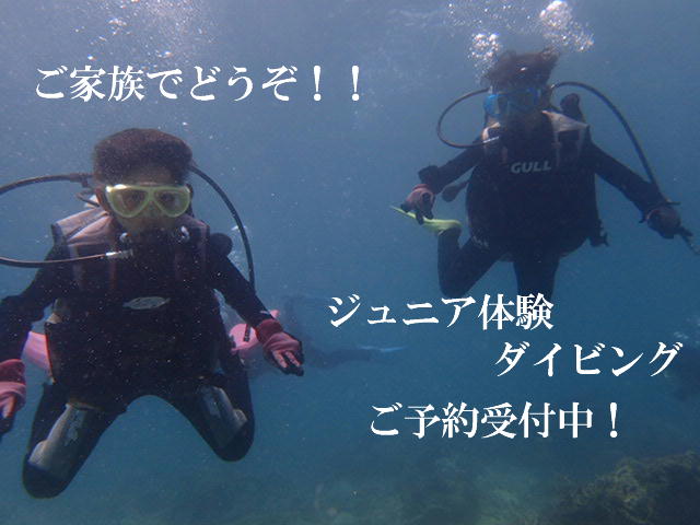 �Ƒ��ő̌��_�C�r���O