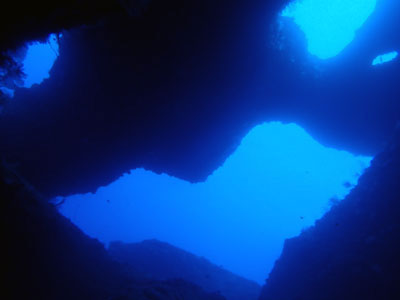 アントニオガウディ 宮古島ダイビング カラカラ先生