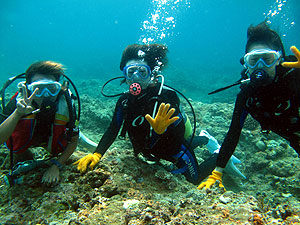 �{�Ó��@�̌��_�C�r���O