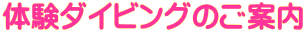�̌��_�C�r���O�̂��ē�