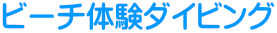 �r�[�`�̌��_�C�r���O