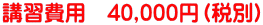 �u�K��p�@40,000�~�i�ŕʁj