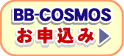 BB-COSMOS$B$*?=9~$_(B