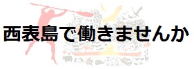 �J�k�[/�V�[�J���b�N�K�C�h��W