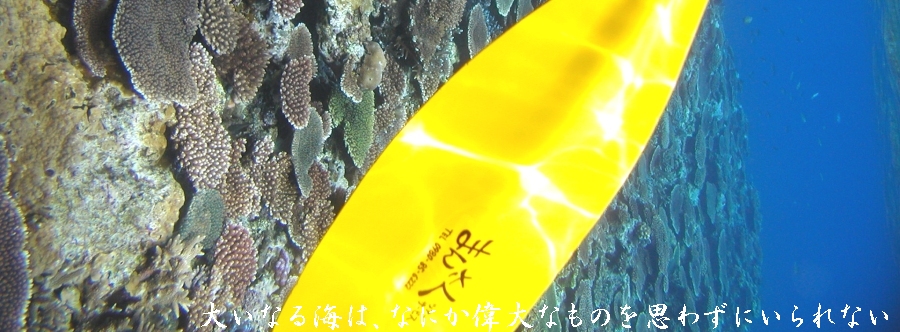 �V�[�J���b�N�ōs�����\���̐����̑�ɂ�