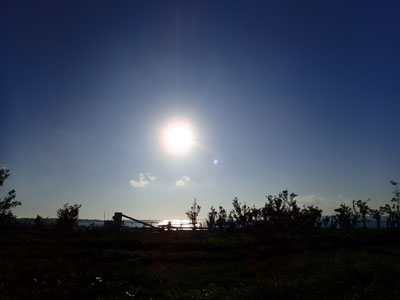 カラカラ先生のダイビングスクール 宮古島