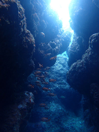 中の島チャネル 宮古島 ダイビング