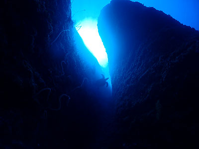 本ドロップ　宮古島