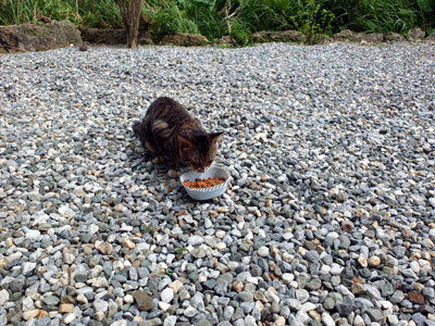 カラカラ先生のダイビングスクール 宮古島