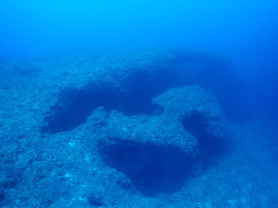 アントニオガウディ　宮古島ダイビング　カラカラ先生