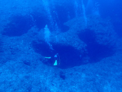 宮古島 ダイビング