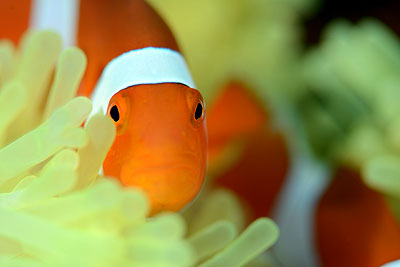 繧ォ繧ッ繝ャ繧ッ繝槭ヮ繝・></TD>
<TD align=