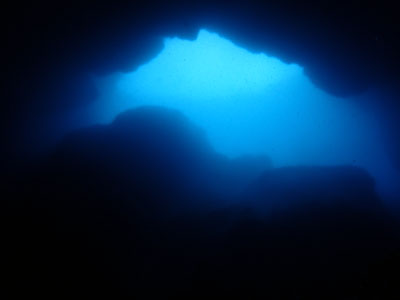 蜂の巣ホール　宮古島　ダイビング