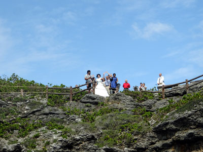 通り池 結婚式