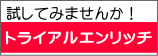 試してみませんか！