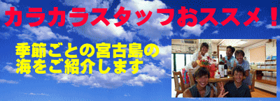 ご注意とお願い