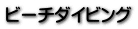 ビーチダイビング