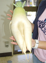 �j���̑��Ɏ����_�C�R��