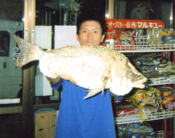 �啨�^�}������ɑ喞���̑匩�ӍP������