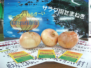 きょうからのキャンペーンで無料配布されるタマネギの「たまQちゃん」
