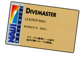 DIVE MASTER CARD